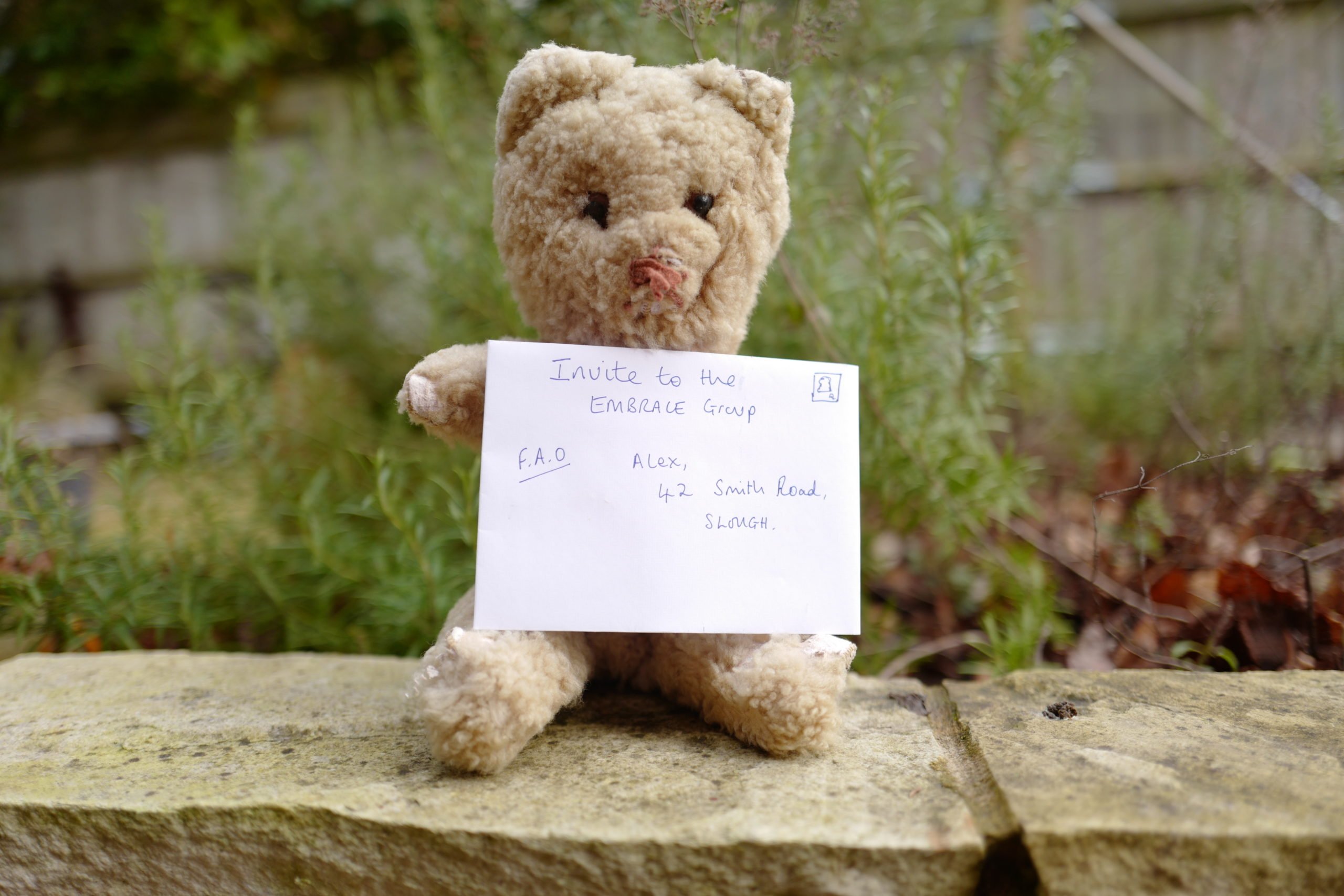 teddy holding a paper invite
